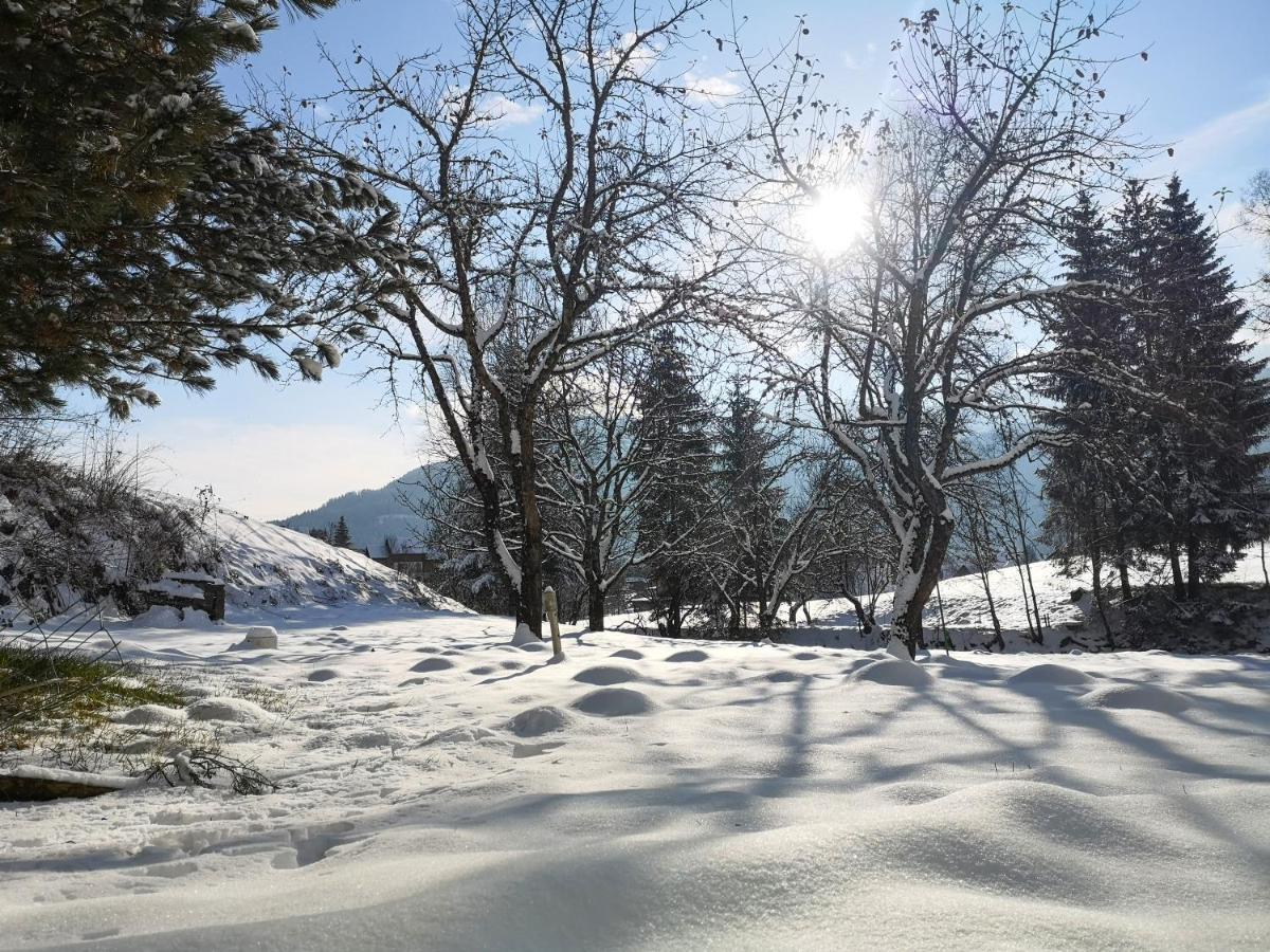 Haus Senna Villa Murau Eksteriør billede